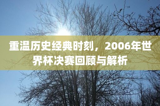 重温历史经典时刻，2006年世界杯决赛回顾与解析