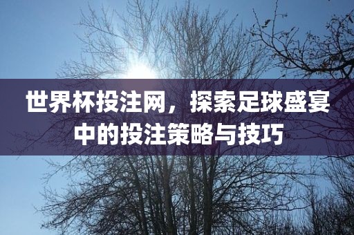 世界杯投注网，探索足球盛宴中的投注策略与技巧