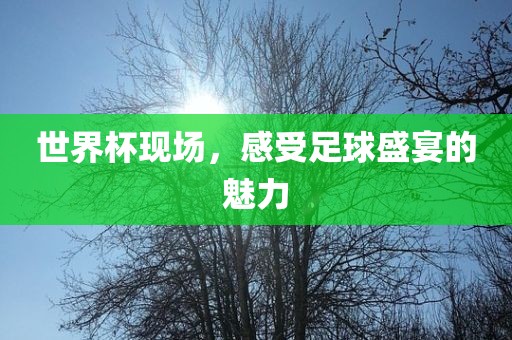 世界杯现场，感受足球盛宴的魅力
