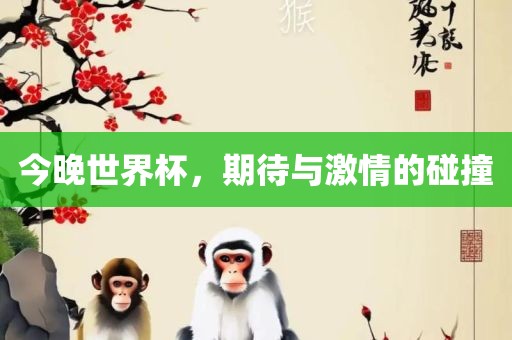 今晚世界杯，期待与激情的碰撞