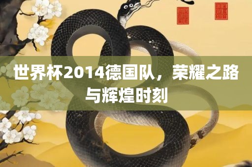 世界杯2014德国队，荣耀之路与辉煌时刻