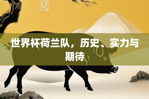 世界杯荷兰队，历史、实力与期待
