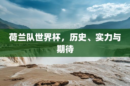 荷兰队世界杯，历史、实力与期待