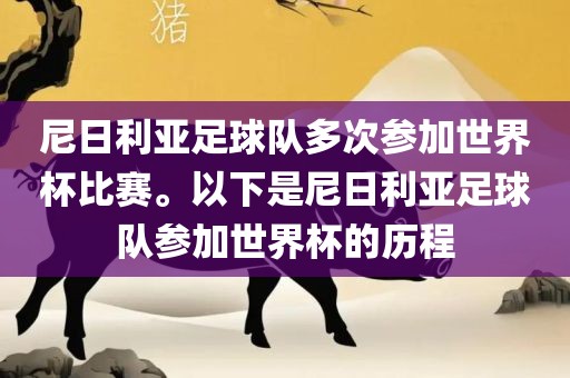 尼日利亚足球队多次参加世界杯比赛。以下是尼日利亚足球队参加世界杯的历程