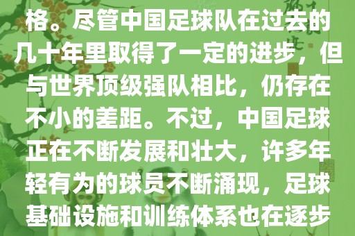 在迄今为止的世界杯足球比赛中，中国队并未获得过参赛资格。尽管中国足球队在过去的几十年里取得了一定的进步，但与世界顶级强队相比，仍存在不小的差距。不过，中国足球正在不断发展和壮大，许多年轻有为的球员不断涌现，足球基础设施和训练体系也在逐步完善。因此，未来中国队仍有可能进入世界杯。