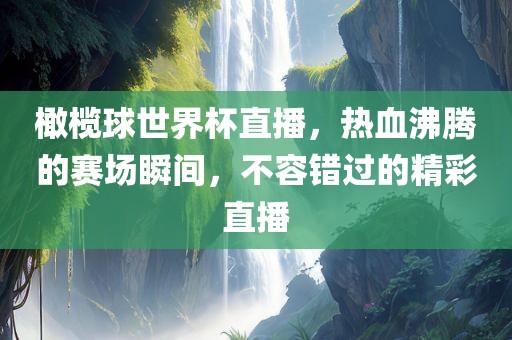 橄榄球世界杯直播，热血沸腾的赛场瞬间，不容错过的精彩直播