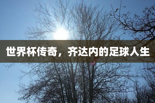 世界杯传奇，齐达内的足球人生