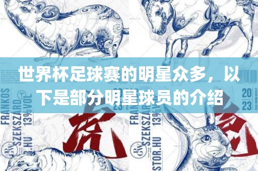 世界杯足球赛的明星众多，以下是部分明星球员的介绍