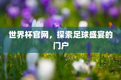 世界杯官网，探索足球盛宴的门户