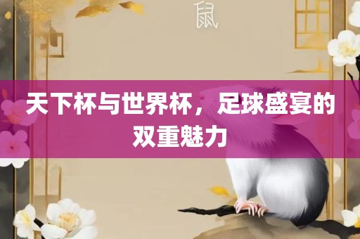 天下杯与世界杯，足球盛宴的双重魅力