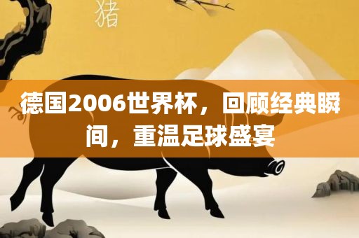 德国2006世界杯，回顾经典瞬间，重温足球盛宴