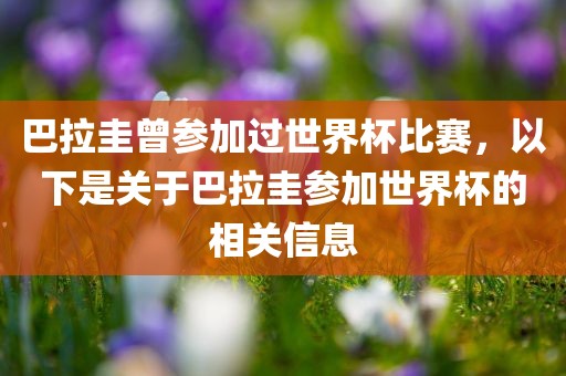 巴拉圭曾参加过世界杯比赛，以下是关于巴拉圭参加世界杯的相关信息