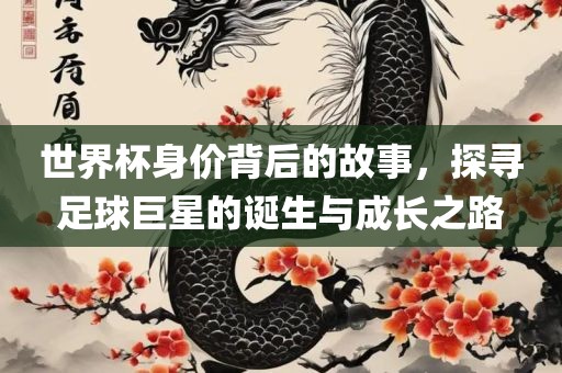 世界杯身价背后的故事，探寻足球巨星的诞生与成长之路