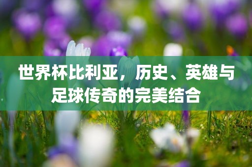 世界杯比利亚，历史、英雄与足球传奇的完美结合