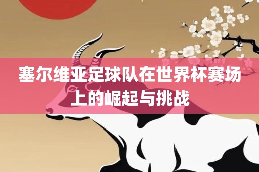 塞尔维亚足球队在世界杯赛场上的崛起与挑战