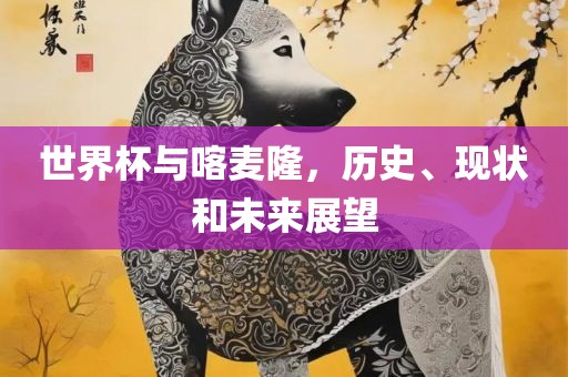 世界杯与喀麦隆，历史、现状和未来展望
