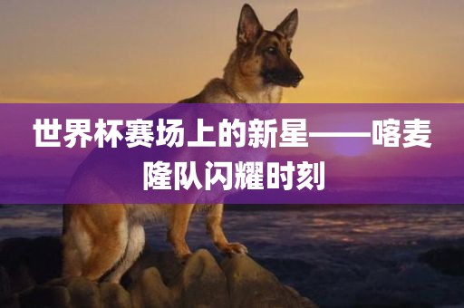 世界杯赛场上的新星——喀麦隆队闪耀时刻