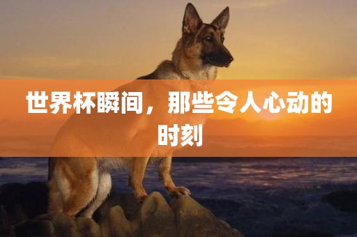世界杯瞬间，那些令人心动的时刻