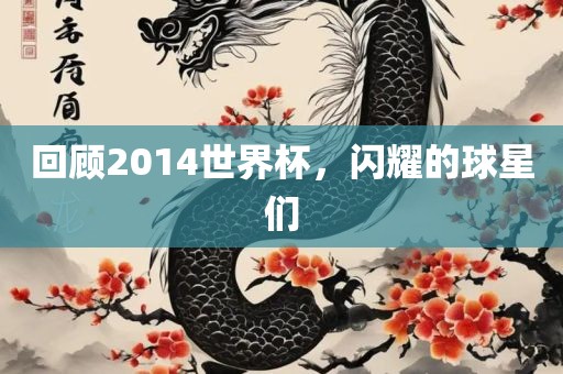 回顾2014世界杯，闪耀的球星们
