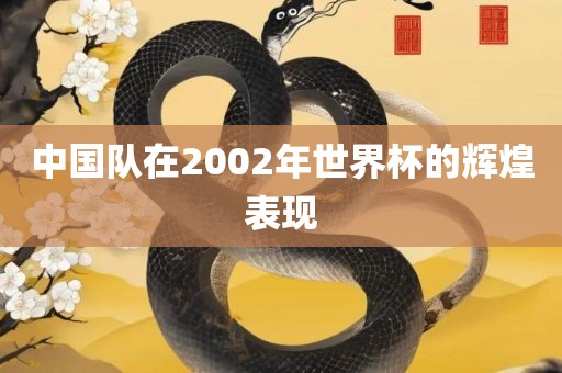 中国队在2002年世界杯的辉煌表现
