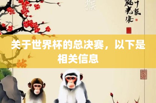 关于世界杯的总决赛，以下是相关信息
