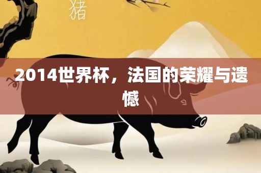 2014世界杯，法国的荣耀与遗憾