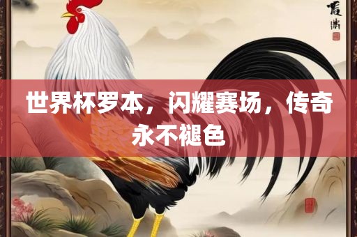 世界杯罗本，闪耀赛场，传奇永不褪色