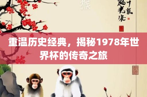 重温历史经典，揭秘1978年世界杯的传奇之旅