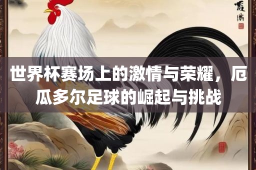 世界杯赛场上的激情与荣耀，厄瓜多尔足球的崛起与挑战