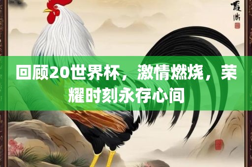 荣耀时刻 第6页