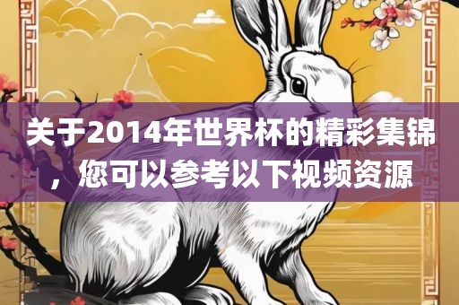 关于2014年世界杯的精彩集锦，您可以参考以下视频资源