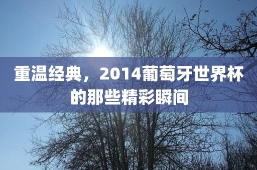 重温经典，2014葡萄牙世界杯的那些精彩瞬间