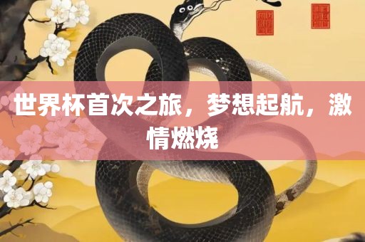 世界杯首次之旅，梦想起航，激情燃烧