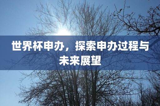 世界杯申办，探索申办过程与未来展望