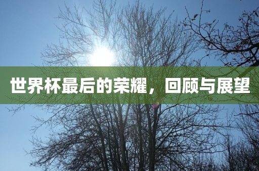 世界杯最后的荣耀，回顾与展望