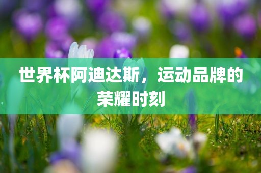世界杯阿迪达斯，运动品牌的荣耀时刻