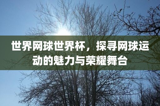 世界网球世界杯，探寻网球运动的魅力与荣耀舞台