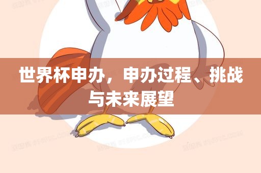 世界杯申办，申办过程、挑战与未来展望