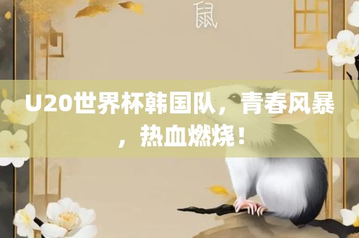 U20世界杯韩国队，青春风暴，热血燃烧！