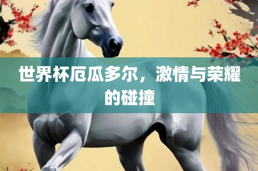 世界杯厄瓜多尔，激情与荣耀的碰撞