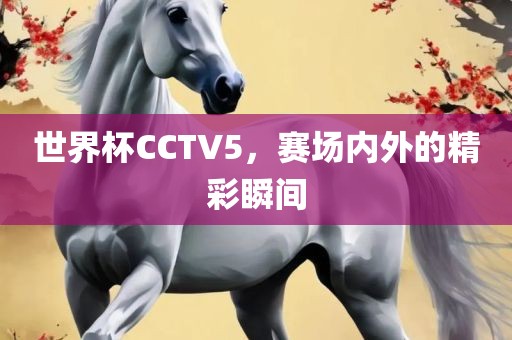 世界杯CCTV5，赛场内外的精彩瞬间漯河市盈旭机械设备有限公司