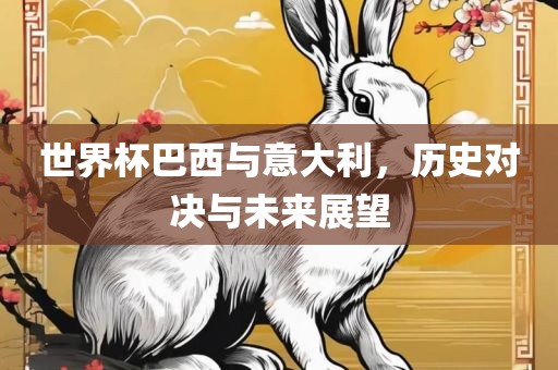 世界杯巴西与意大利，历史对决与未来展望