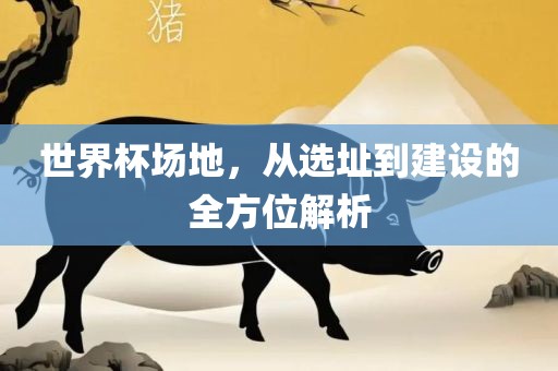 世界杯场地，从选址到建设的全方位解析