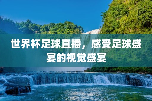 世界杯足球直播，感受足球盛宴的视觉盛宴漯河市盈旭机械设备有限公司