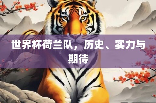 世界杯荷兰队，历史、实力与期待