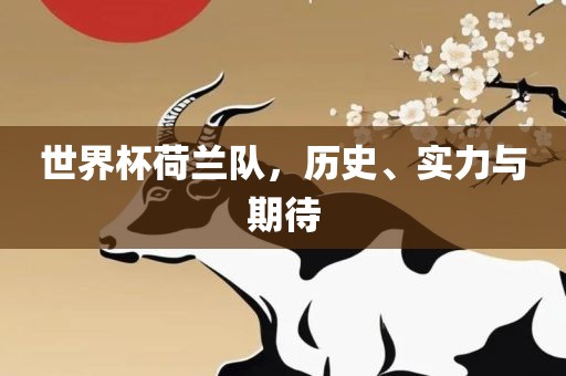 世界杯荷兰队，历史、实力与期待
