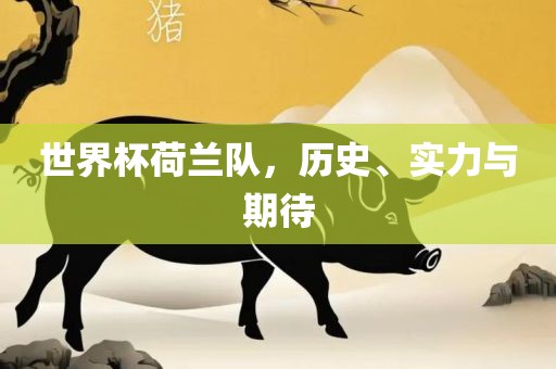 世界杯荷兰队，历史、实力与期待