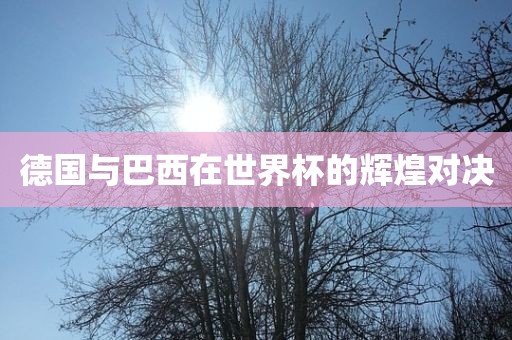 德国漯河市盈旭机械设备有限公司与巴西在世界杯的辉煌对决