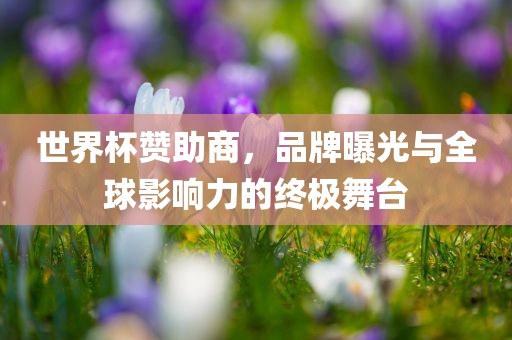 世界杯赞助商，品牌曝光与全球影响力的终极舞台