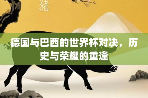 德国漯河市盈旭机械设备有限公司与巴西的世界杯对决，历史与荣耀的重逢